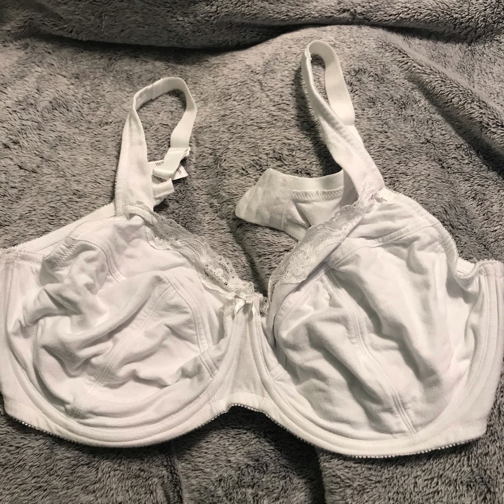 White tee shirt bra